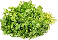 Fresh Coriander, 100g