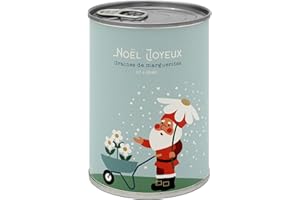 MAUVAISESGRAINES-KITS À SEMER Mauvaises Graines - Noël - Kit de Plantes à Semer en Boîte - Kit de Culture à Offrir comme Cadeau Original Amis Famille Fêtes - Ultra Simple à Utiliser - 100% Fabriqué en France (Noël Joyeux)
