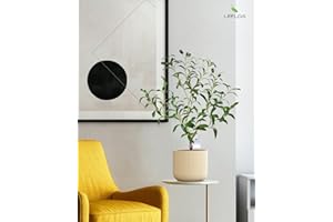 Leflos 60cm Olivo Realista en Maceta de para Interior, sólo para Interior, con Tronco Vivo, Rama Ajustable y Aceitunas gordas, 1 Pieza