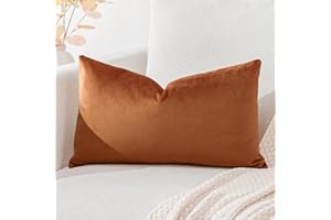 Artscope Luxury Velvet Cushion Covers Super Soft Decorative Throw Pillow Covers Case Lumbar Cushion Cases for Sofa Couch Bedroom Car Decor 30x50cm Orange