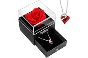 TangDouJM Red Rose Crystal Heart Necklace,Eternal Rose Birthday Gift For Women Wife Girlfriend Grandma Valentine's Day Mother's Day Christmas Day Wedding Anniversary (red)