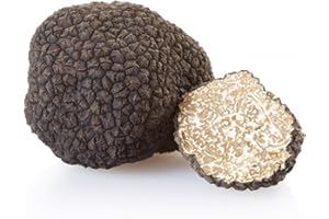 Mycélium de Truffe Blanche d'été Kit de culture champignons 15ml/50ml (Tube, 15ml)