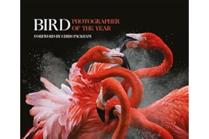 Bird Photographer of the Year: Collection 3