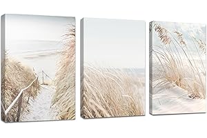 FajerminArt 3Pcs Grande Stampa su Tela Quadro Con Cornice Spiaggia Paesaggio di neve Quadri Moderni Boho Botanical pittura su tela poster Decorazione Murale Adatto Soggiorno Camera da letto 40x60cmx3