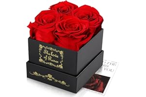 doerfeell Ewige Rose Box, Geburtstagsgeschenke FüR Frauen, Geschenke FüR Mutter/Freundin/Ehefrau/Oma, Geburtstag, Valentinstag, Weihnacht