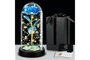 IGUGI Die Schöne und Das Biest Rose,Ewige Rose im Glas mit LED-Licht,Glas Galaxy Rosen Geburtstag Romantisches Geschenk für Sie,Freundin,Mama für Hochzeit, Valentinstag, Muttertag(Blau)