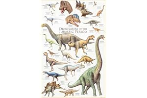 EMPIREPOSTER Empire plakat edukacyjny dinozaury z okresu jurajskiego wielokolorowy