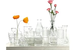TEMPFOO 12 Pz Vaso Decorativo da Interno Fiori Vasetti Vetro Decorativi Trasparente Mini Vasi Soprammobili Moderni Cristallo Design Centrotavola per Matrimonio Centro Tavola Singolo Piante