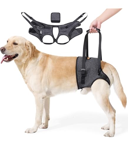 Tragegeschirr Für Hunde - Hebehilfe Für ältere & Behinderte Hunde