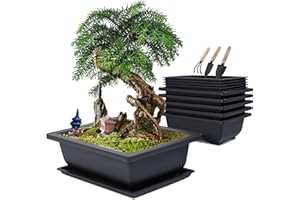 MissFox Macetas de Entrenamiento para Bonsái con Bandejas de Paquete de 6, Maceta de Bonsai Grande Rectangular de Plástico con Herramientas de Jardín para Plantas de Interior/Exterior, 23 x 17 x 8 cm
