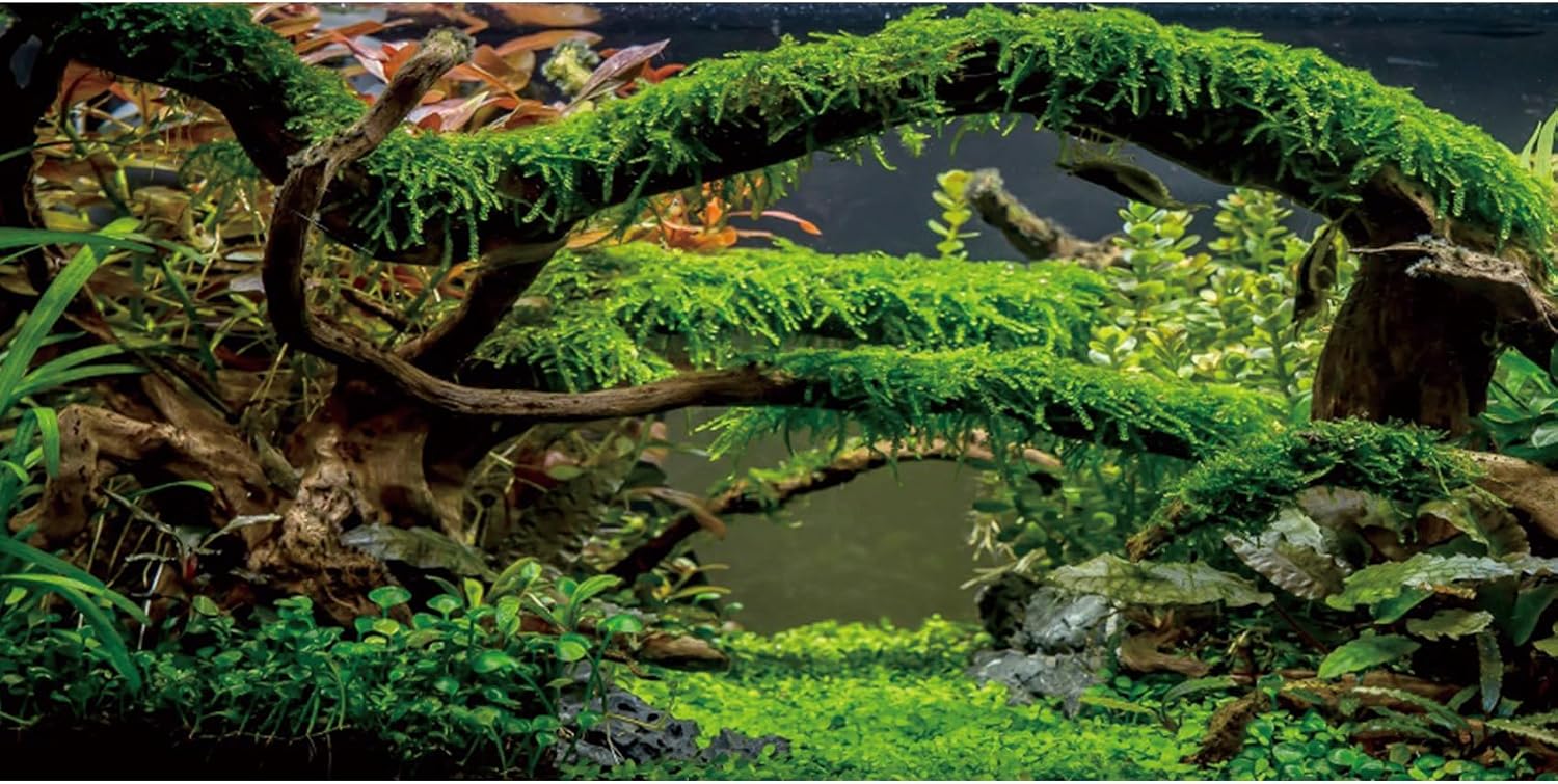 MIRRORANG 120x50cm Acuario Fondo Ramas terrario Fondo Planta acuática río Cama y Lago Tanque de Peces Fondo Vinilo Fondo