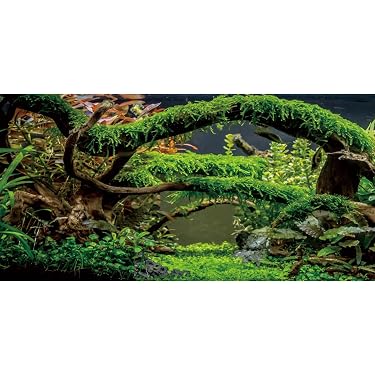 Aquarium Folien Selbstklebend, Rückwand Blau, Klebefolie Für Aquarium
