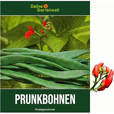 Amazon.de Bestseller: Die beliebtesten Artikel in Gemsesamen & -pflanzen