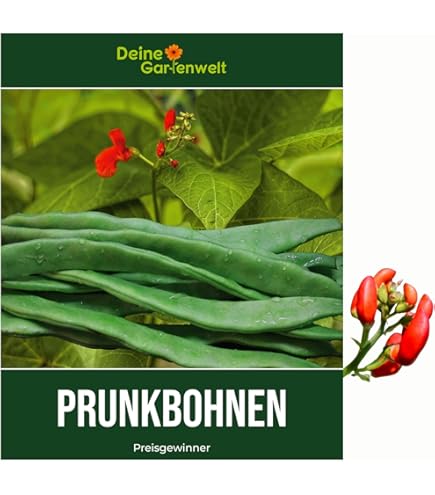 Snackgurken Hopeline F1 Saatgut Von Dürr-Samen - Foto 12