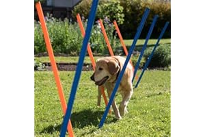 Pawise Pet Dogs Outdoor Games Agility Exercise Training Equipment Agility Starter Kit Jump Hoop Hurdle Bar 12PCS/116CM
