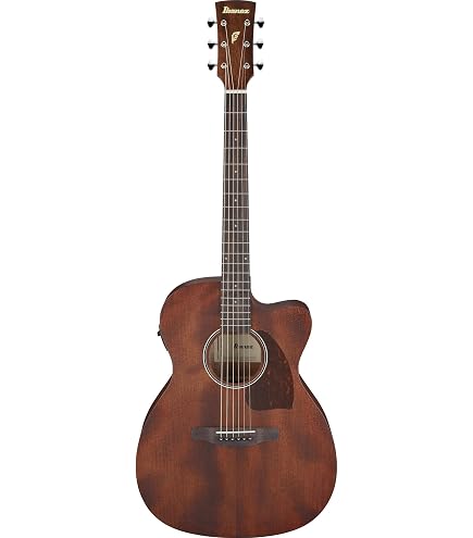 Epiphone PR-5E Acoustic-Electric Guitar, Shadow Preamp, Natural