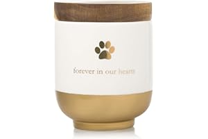 Pearhead Pet Forever in Our Hearts Keramikurne, Gedenkurne für Hunde oder Katzen, Regenbogenbrücke, goldfarben