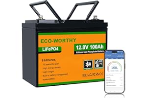ECO-WORTHY Bluetooth Batterie Lithium 12V 100AH avec Protection de BMS et de Basse Température, LiFePO4 Batterie avec 4000 à 15000 Cycles pour Camping Car, Caravane, Bateau, Panneau Solaire