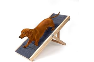 iPetba Rampa per Cane per Letto & Divano per Piccoli Cani – Rispetto per le Articolazioni, Antiscivolo, Pieghevole, Regolabile, Portatile, Fino a 16 kg
