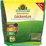 NEUDORFF - Rasenreparatur Lückenlos - 2,5 kg
