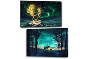 AIKEWO 2 Pack Diamond Painting for Adults-Aurora with Deer Diamond Art Kits for Adults Beginner,Northern Lights Paint with Diamonds Picture Gem Art and Crafts for Wall Decor Gifts12X16Inch