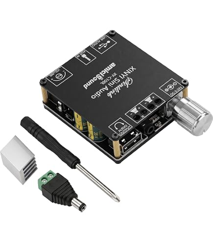 FlyRobo HiFi AUX TPA3116 Xinyi Sini Audio 2 * 100W Digital Power