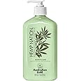 Australian Gold - Hemp Nation Agave & Lime Tan Extender Body Lotion 535 ml
