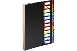 Viquel Rainbow Class - Trieur accordéon 12 compartiments en plastique - Pochette extensible pour classer et transporter des documents - Rangement papier format A4