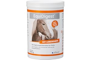 Alfavet equidi Gest Cheval – pour compenser Les Troubles chroniques de la Fonction du côlon