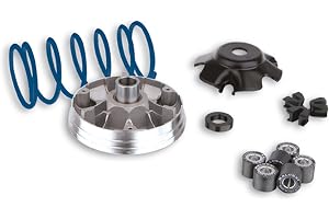 MALOSSI Variator Multivar 2000, för Peugeot 100 Elyseo/Looxor/Speedfight/SV/Trekker/Vivacity/X-Fight, AC 19 x 15,5 mm, 6 r