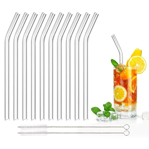 DONQL Glas-Strohhalme 10er-Set, 20 cm mit Bürsten
