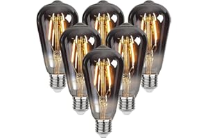 ESIP Edison Vintage Glühbirne,ST64 E27 4W LED Glühbirne Vintage Antike Glühbirne, Warmweiß (2700K), Ideal für Nostalgie und Retro Beleuchtung im Haus Café Bar usw - 6 Stück