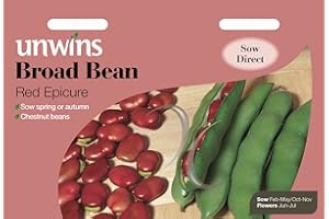 Unwins Pictorial Packet - Broad Bean Red Epicure - 45 Seeds
