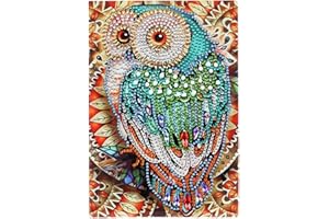 DCIDBEI Carnet de Croquis A5 Notebook Kits de Peinture Diamant 5D DIY pour Adultes Enfants 5D Hibou Carnet de Secret Journal Intime Fille Livre pour Filles et Enfants 50 Feuilles 120 Pages