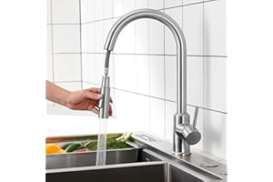CECIPA Rubinetto Lavello Cucina, Miscelatore Cucina con Doccetta Estraibile 2 Modalità Acqua, Rubinetto Cucina Acciaio Inox Girevole a 360°, Risparmio Idrico, Spazzolata