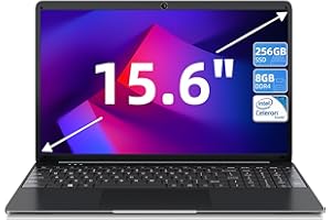 SGIN 15.6 Inch Laptop 8GB RAM 256GB SSD, Laptop Computer with Intel Quad Core Processor Up to 2.5GHz, IPS HD Display, Dual Band WiFi, Bluetooth 4.2, Type-C, 2*USB 3.2, Support TF Card Expansion 512GB