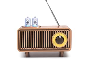 COLSUR Retro Radio, Portable Bluetooth Speaker with FM Vintage Radio, Small Radios Mains and 1500mAh Battery, Support TF Card/AUX/USB, MP3 Player, 5W Speaker, Bluetooth 5.3