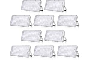 Viugreum Faretto LED da Esterno 100W 10 Pezzi, IP66 Resistente all'acqua Faretti LED da Esterno, Luce Di Sicurezza 10000LM, 6500K Bianco Freddo, Super Luminoso Esterno led per Giardino, Magazzino