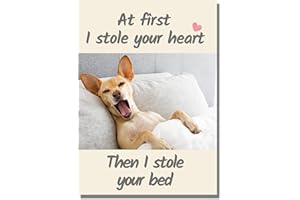 BRITWIT Cute, Funny Dog Birthday, Valentines, Mother's, Father's Day Card From Pet Dog To Dad, Mum, Mummy, Owner