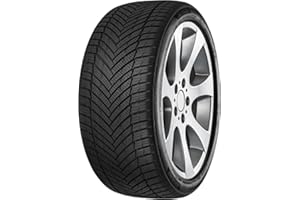 MINERVA 225/55 R17 101W ALL SEASON MASTER XL