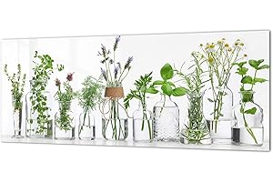 Concept Crystal Panel Protector de Vidrio de Seguridad endurecido – Tabla Protectora antisalpicaduras BBS04C