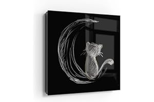 ‎DEQORI DEQORI Schlüsselkasten schwarz | 30x30 cm | Motiv Die Katze und der Mond | Glas & Metall Schlüssel-Box | Schlüsselschrank mit 50 Haken + 2 Magnete | Moderne Box magnetisch & beschreibbar