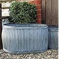 Bowley & Jackson Vintage style oval shaped galvanised dolly planter