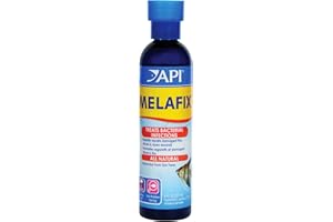 API Melafix Poisson d'eau Douce infections Bactériennes Remedy