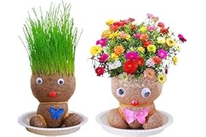 BAOQIFONG 2 Grow Your Own Grass Head, Grow Your Own Kits, Grass Head Doll Plant, Grass Heads for Kids to Grow, Doll Head Planter, Growing Tray, Desktop Ornaments Decoration Or Plants Potted for Children