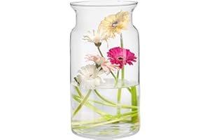 ‎TREND FOR HOME TREND FOR HOME Große Glasvase Hoch 29.5 cm Blumenvase Gross Bodenvase Glas Große Vase Amaryllis Vase Tulpen Runde Glasvase Zylinder Durchsichtig Große Vasen für Boden | Ø 16 cm | Sunflower