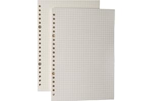 AMO HERMOSO 2 piezas de Recambios de papel Cuadrícula para Cuaderno Espiral A5, Cuadriculado, 80 g/m², 240 Páginas Cuadriculadas, 20 Agujeros