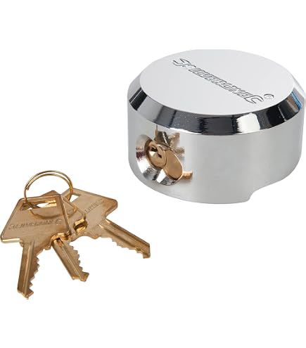 Lucchetto Con Cerniera Master Lock 736EURD - Antifurto Per Furgoni, Cancelli, Argento, Cilindro 6 Pistoncin