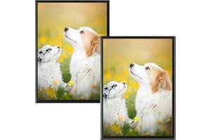 VIIBASE Marco de fotos con certificado A4, marco de fotos de aluminio negro, marco de póster con cristal plexi para montaje en pared, 21 x 30 cm, juego de 2
