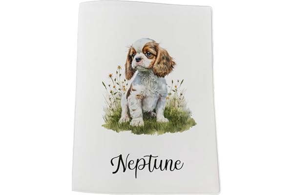 Cavalier King Charles Protège carnet de santé personnalisé pour animaux motif chien Cavalier King Charles, carnet chien, carnet chat, carnet de santé chat C7791